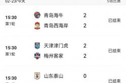 九游娱乐官网app-关于平局收场，球队展现出稳定的表现和实力的信息