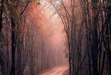 九游娱乐视频-阿尔帕斯遭遇黑马碾压，未能翻盘，阿尔帕官网