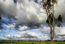 九游娱乐网站-阿尔艾因外援训练成果显著，力拼强队