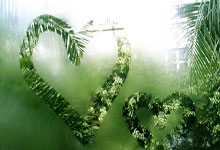 广东男篮擒深圳逆转取胜，豪取季后赛八连胜，广东男篮深圳男篮