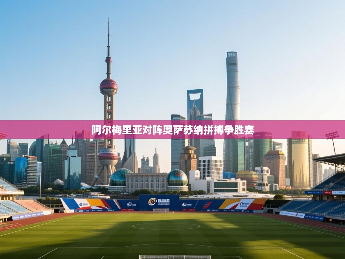 阿尔梅里亚对阵奥萨苏纳拼搏争胜赛 第2张