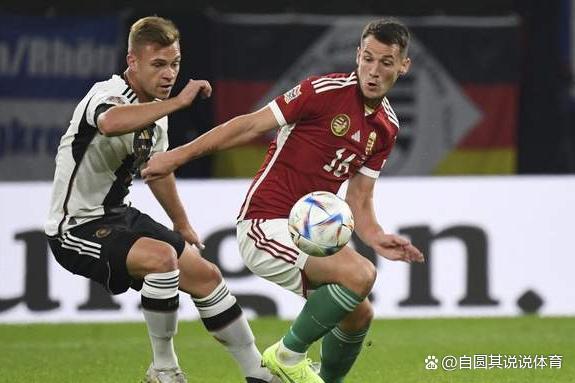 关于匈牙利队主场告负，晋级前景黯淡的信息